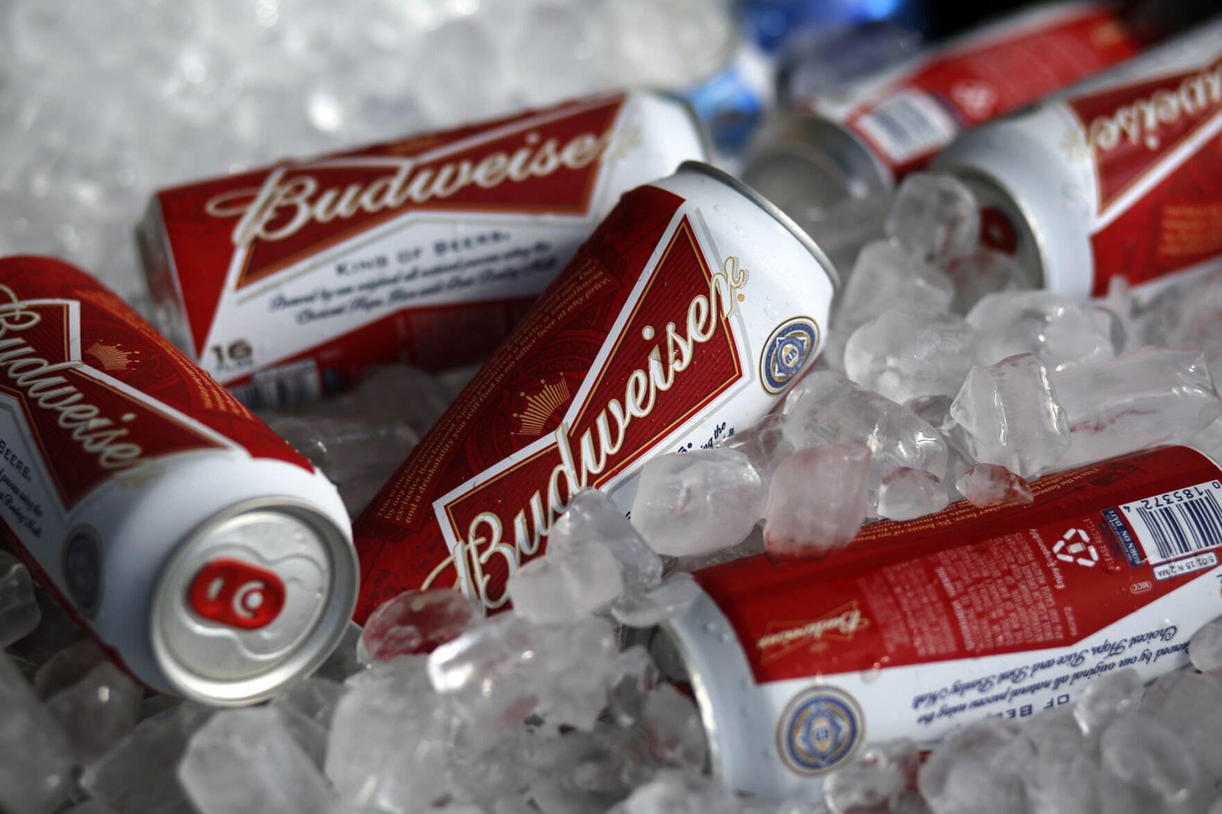 Budweiser